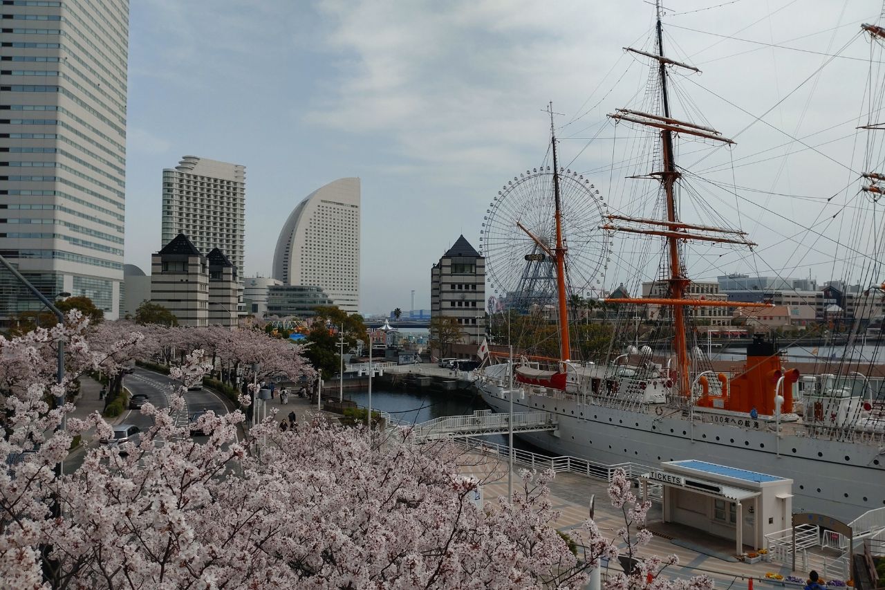 diseño sin título (11)